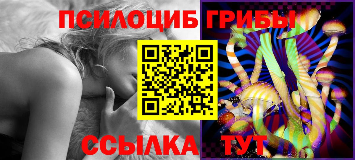 Псилоцибиновые грибы GOLDEN TEACHER  Большой Камень 