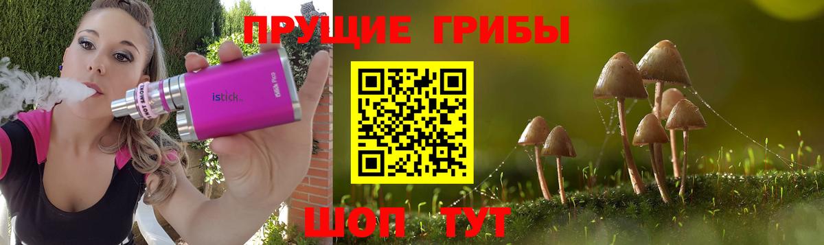 Большой Камень  Галлюциногенные грибы прущие грибы  Вход с VPN  Галлюциногенные грибы MAGIC MUSHROOMS 