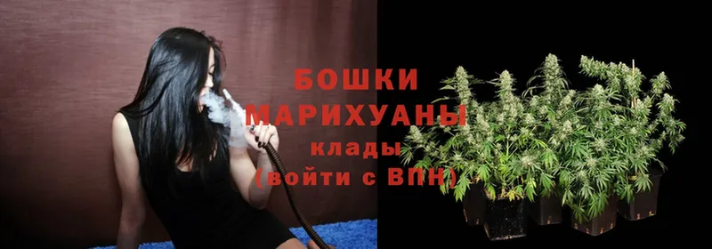 Каннабис Bruce Banner  магазин продажи наркотиков  Большой Камень 